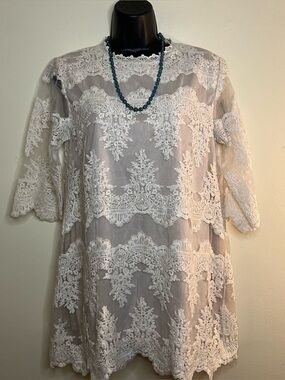 Embroidered Lace Mini Dress in White by Love